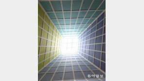 [고양이 눈]저 멀리엔