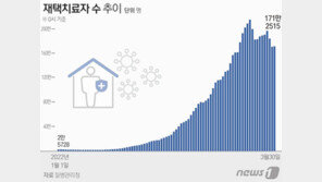 재택치료 171만2515명…중환자 병상 가동률 66.4%