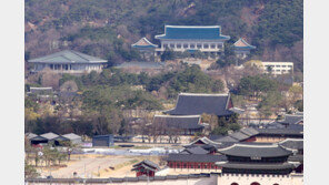 “청와대 개방 후 연간 방문객 효과 1670만명…관광수입 1.8조 추산”