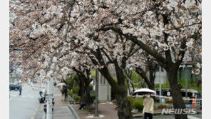 [날씨]내일 오전 비 대부분 그쳐…모레 아침 ‘쌀쌀’