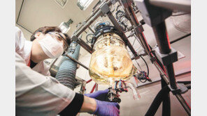 대사질환 분야 글로벌 임상 등 가시적 성과