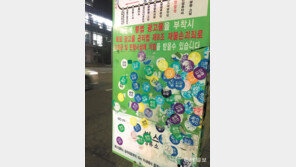 [고양이 눈]엉뚱한 화풀이