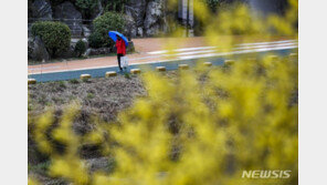 [날씨]전국 흐리고 봄비…낮 최고기온 19도 포근