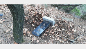 수락산서 정상 표지석 훔친 20대, 경찰에 붙잡혔다