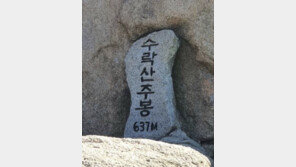 수락산·불암산 ‘사라진 비석’ 범행 20살 대학생 “내 힘에 희열”