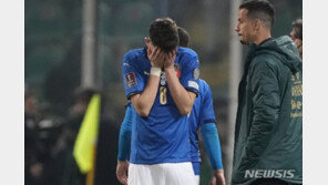 이탈리아 탈락 충격 컸나, 황당 논리로 헛된 희망