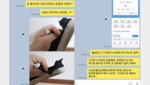 “운동화 사줘, 찢어졌어” ‘가평 계곡살인’ 피해자가 보낸 메시지