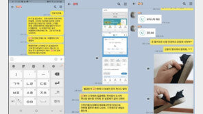 “너무 배고파, 1만원만”…‘가평 익사’ 남편, 이은해에 보낸 카톡