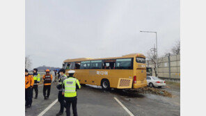 자유로 추돌사고,  tvN ‘조선 정신과 의사 유세풍’ 30대 PD 사망