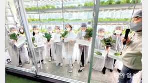 스마트팜서 농부체험