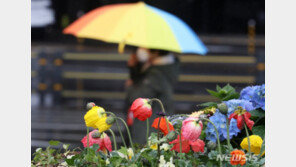 [날씨]내일 아침 ‘꽃샘추위’…제주도 등 비소식