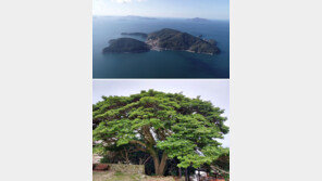 통영항 인근 ‘위기의 섬’ 추도-와도에 ‘희망의 봄바람’ 불어넣는다