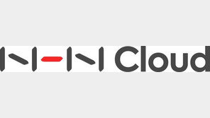 ‘고속성장’ 클라우드 사업, 잇달아 별도 회사로 분리하는 까닭은?