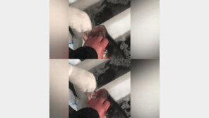 상하이 봉쇄 이어…물고기까지 코로나 검사하는 中 (영상)