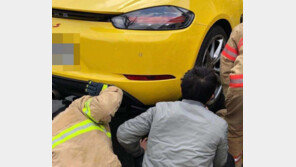 길고양이 위해 포르쉐 뜯어낸 차주 “학대 등 안 좋은 소식만 가득해서”