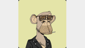 마돈나 7억에 샀던 NFT ‘지루한 원숭이’, 코인 나왔다…2주만에 시총 4조