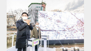 벚꽃 개화 늦어져…송파둘레길 벚꽃나들이 10일까지 연장