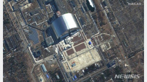 IAEA “체르노빌 원전 일대 방사능 수치 정상”