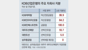 전문가들 “산은, 62개 자회사 인사에 직간접 영향” 