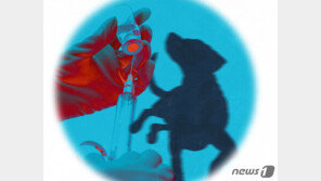 음성 개 사체들 야산 유기…군서 운영비 지원받는 동물병원 소행