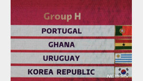 “한국 16강 확률 12분의1 H조 최하위” 도박사들 전망