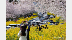 4월 첫 주말, 오후 9시까지 전국 22만4344명 확진