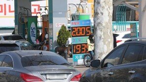유류세 인하 30%로 확대…생계형 화물차엔 보조금 검토