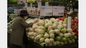 농축수산물 수입가격 3개월째 30%대 상승…밥상물가 비상