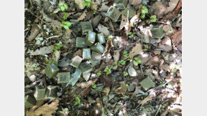 등산 갔다가 ‘이런 미끼’ 발견하면 절대 만지지 마세요