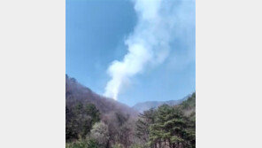 강릉 왕산면 산불 1시간15분 만에 진화…“사찰 화기취급 부주의”
