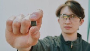 SK온, 전기차 대당 10개 이상 탑재 ‘반도체칩’ 개발 성공… 전량 수입→내재화 