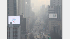 “세계인 99%, 오염된 공기 마신다”…숨막히는 지구