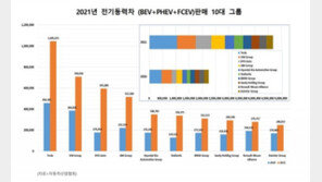 지난해 세계 전기차 판매 2배 이상 성장…현대차그룹 5위