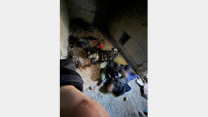 우크라 부총리 “시장 11명 포로로 잡혀…잔혹행위 시작일 뿐”