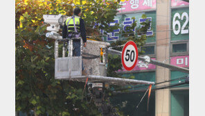 ‘안전속도 5030 완화’ → 시속 60㎞까지…인수위 “획일규제 개선”