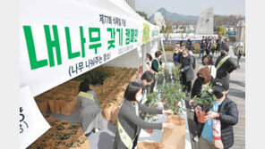 “나만의 나무 가져가세요”