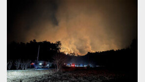 경북 봉화 산불 3단계로 격상…야간진화체제로 전환