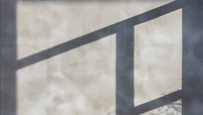 [고양이 눈]무엇을 보시나요?