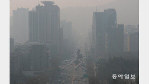 WHO “세계 인구 99% 오염된 공기 마신다”