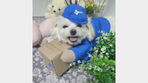 ‘후원금 먹튀 논란’ 택배견 경태 아빠, 사기혐의로 입건