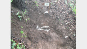 피란 중 입대한 오빠…72년 만에 유해로 돌아왔다