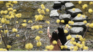 “7일 비 내리지만 대기 건조 해소엔 역부족…주말 대형 산불 주의해야”