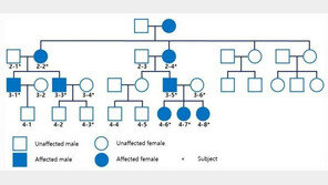누렇고 거친 치아, ‘유전자 변이’서 맞춤형 치료 실마리 찾았다