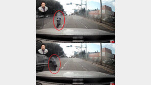 “무단횡단 사고, 과실 0%인데 보험사가 차주 몰래 2400만원 합의금 줘”