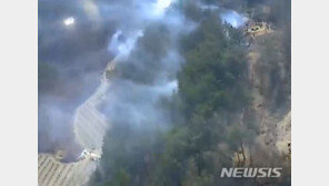 경북 청송 산불, 56분만에 완진