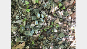 “산에서 절대 만지지 마세요”…서울시, 광견병 예방약 살포