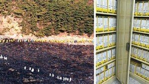 123만 명 손으로 이룬 ‘태안의 기적’ 세계기록유산 되나