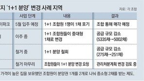 [단독]“年 수천만원 보유세 감당 못해”… 재건축 조합원 ‘1+1 분양’ 포기 속출 