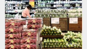 “나물값 3배로, 장보기 겁나”… “순두부 한끼도 싼곳부터 찾아” 