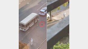 中 확진 주인 따라온 개, 방역요원이 그자리서 때려죽여